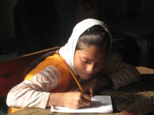 3963936258_f2f2053008_o http://www.flickr.com/photos/codepinkalert/
