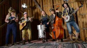 Steve'n'Seagulls , foto fornita dal Miela