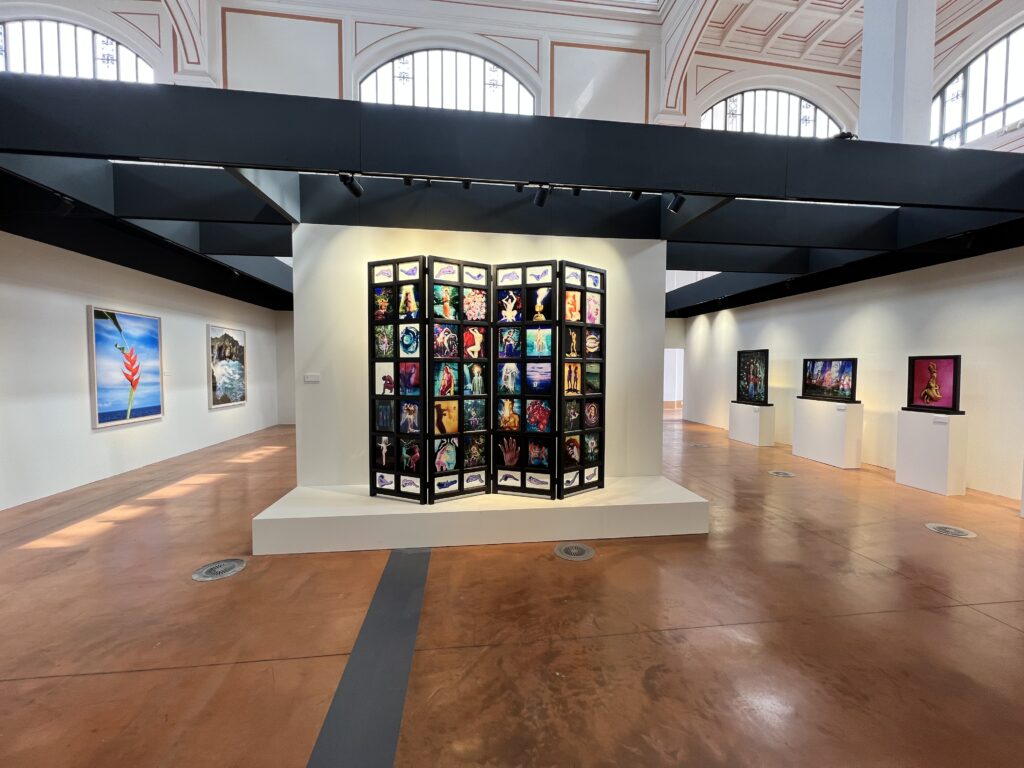 Mostra fotografica di David LaChapelle,Fulmini, Salone degli Incanti Trieste, foto dell’inaugurazione di Laura Poretti Rizman